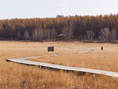 -塞罕坝国家级自然保护区