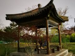 -莲花池公园