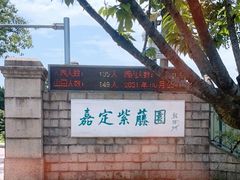 -嘉定紫藤园