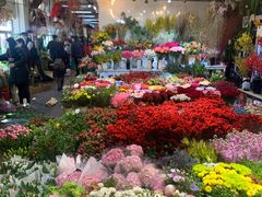 -双季花艺园艺市场(浦东店)