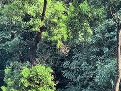 -麓湖高尔夫球俱乐部