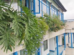 -寻味·后院花语