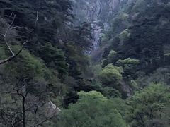 -泰山风景名胜区