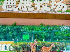 -盈香心动乐园