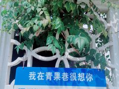 -青果巷历史文化街区