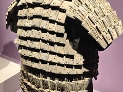 -陕西自然博物馆