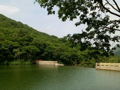 -龙道沟景区