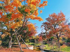 -大连金石滩绿发温泉假日酒店