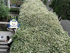 -四川大学(望江校区)