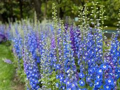 -上海吴淞炮台湾国家湿地公园