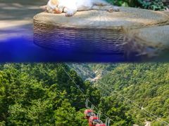-沂蒙山旅游区云蒙景区(蒙山国家森林公园)