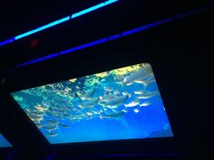 -海洋公园海洋列车－海滨站