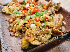 瓦片烤羊肉-炉内瓦·瓦片烧烤(明日星城店)