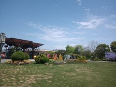 -上海长兴岛郊野公园