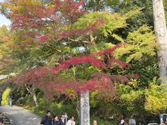 -三千院