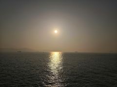 -演武大桥观景平台