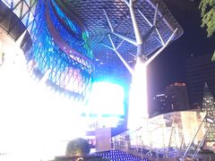 -爱雍·乌节