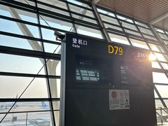 -上海浦东国际机场-T2航站楼