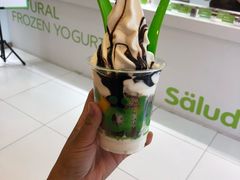 莎奴姆-Salud撒露欧洲冻酸奶(蓝色港湾店)