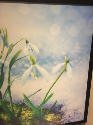 -时尚殿堂·颜SPA