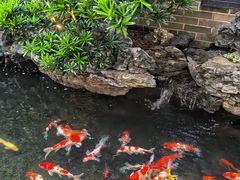 -顺德渔村·岭南一号