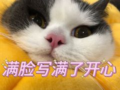 -荔康动物医院(康王北路店)