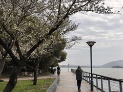 -蠡湖大桥公园