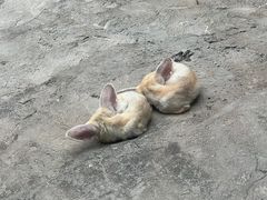 -杭州野生动物世界