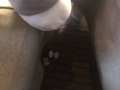 -有喜胶东小馆(超极合生汇太申祥和店)