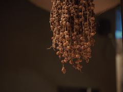 -毛辣果·酸(OHA复兴西路店)