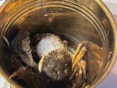 -领鲜活海鲜榴莲自助火锅(东门店)