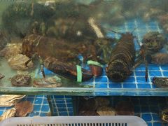 -和源祥·日照菜扛把子(万平口一店)