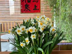 -龙华素斋(龙华路店)