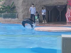 -太阳岛沙滩泳场水上乐园
