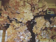 -金龙咖喱