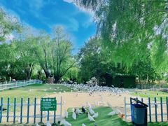 -南通洲际绿博园