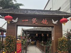-一煲鸽