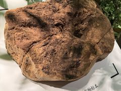 -香市公园-中国沉香文化博物馆