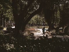 -金砂公园