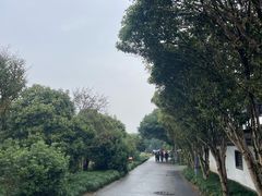 -灵顺寺