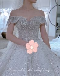 -艾米丽婚纱礼服
