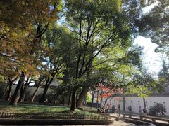 -西园戒幢律寺