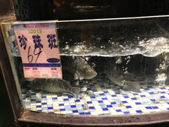 -森谷美食公园(杨行店)