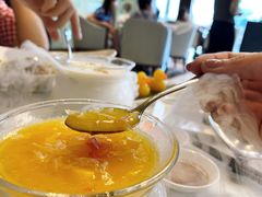 -唐阁海景中餐厅·早茶·粤菜•生日聚餐(海口朗廷酒店)