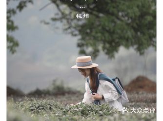 杭州｜龙坞茶园·0元闯入斯里兰卡万亩茶田