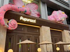 -帕帕拉兹宠物(亚洲旗舰店)