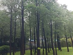 -晓港公园