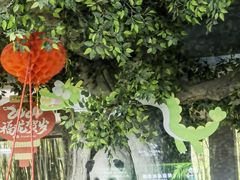 -海南热带野生动植物园