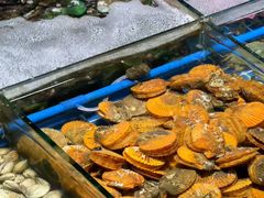 -霞涌市场海鲜摆卖区