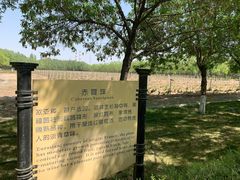 -龙谕酒庄